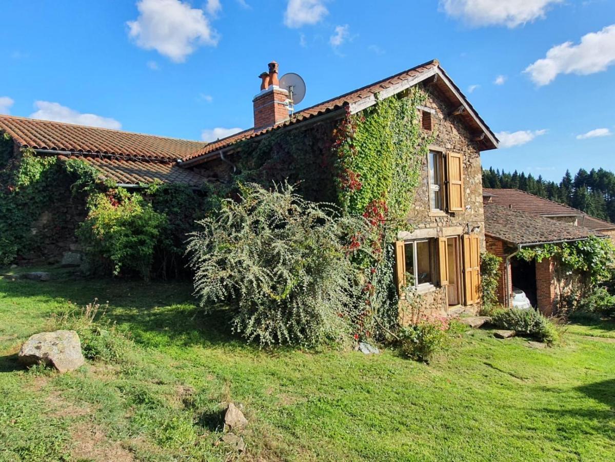 Eco-Gite Cottage Panoramique, Terrasses, Baby Foot, 150 M2 Renove Et Agrandi En 2024, Activites Proposees Champagnac-le-Vieux Экстерьер фото
